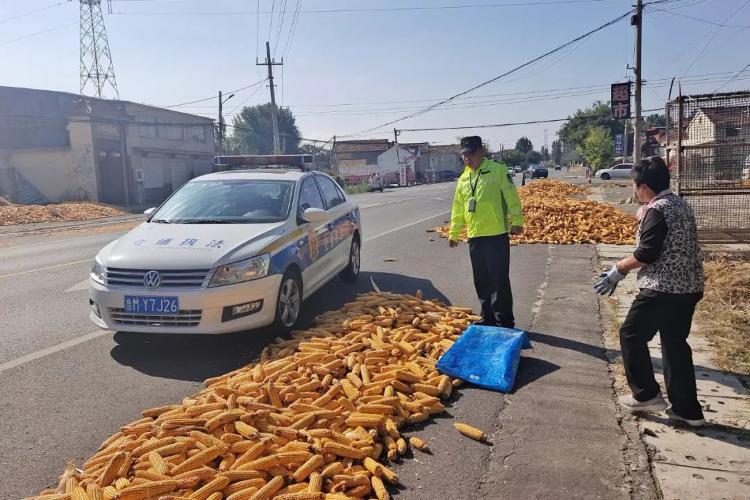 滨州市交通运输综合执法支队多措并举强化国庆道BOB半岛路运输服务保障工作(图7)